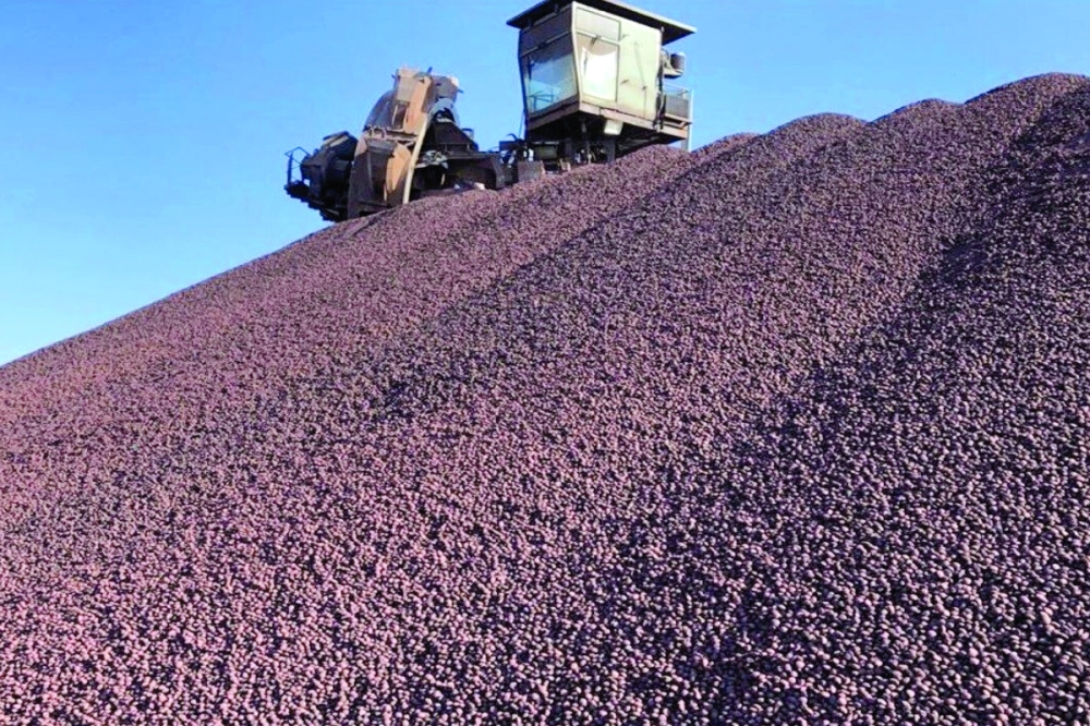 ‘Green’ briquettes from Vale’s newly launched briquetting plant in Brazil
