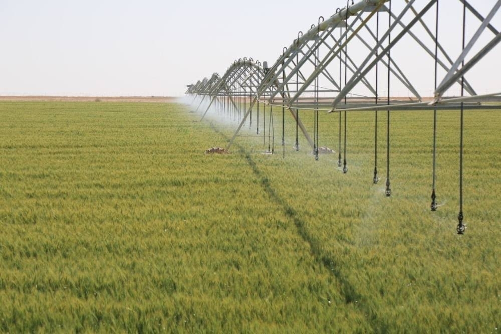15 Increased agro production boosts food security and economic growth