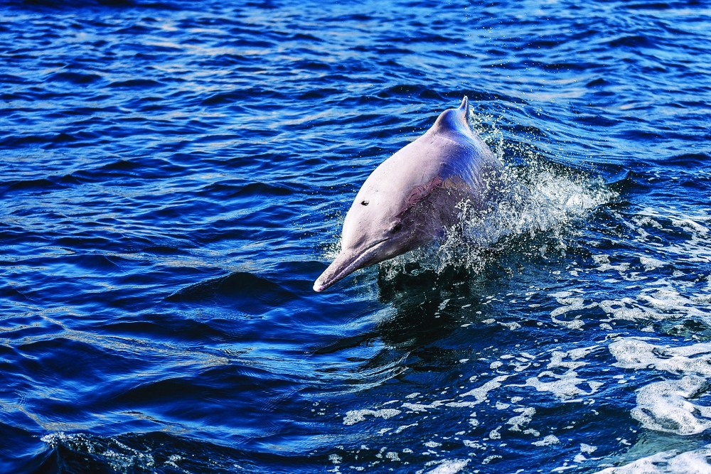 Winter in Musandam: Unveiling the magic of Oman's coastal gem