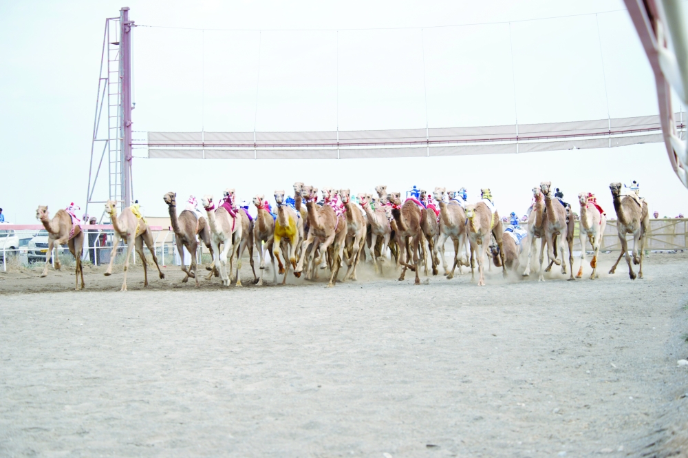 Archive photo from the previous season