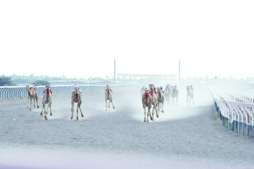 Archive photo from the previous season