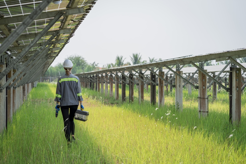 Electrical engineer on solar farm with large structure Check maintain rehearse damaged parts from use in order to produce electricity with maximum efficiency throughout its service life professionally