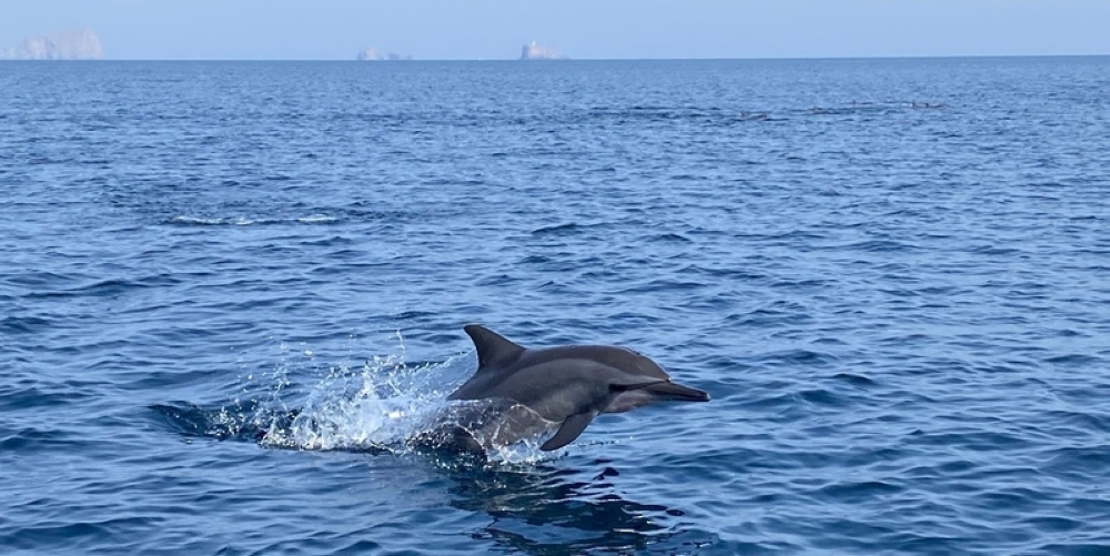 Survey to explore fish resources in the Arabian Sea and the Sea of Oman
