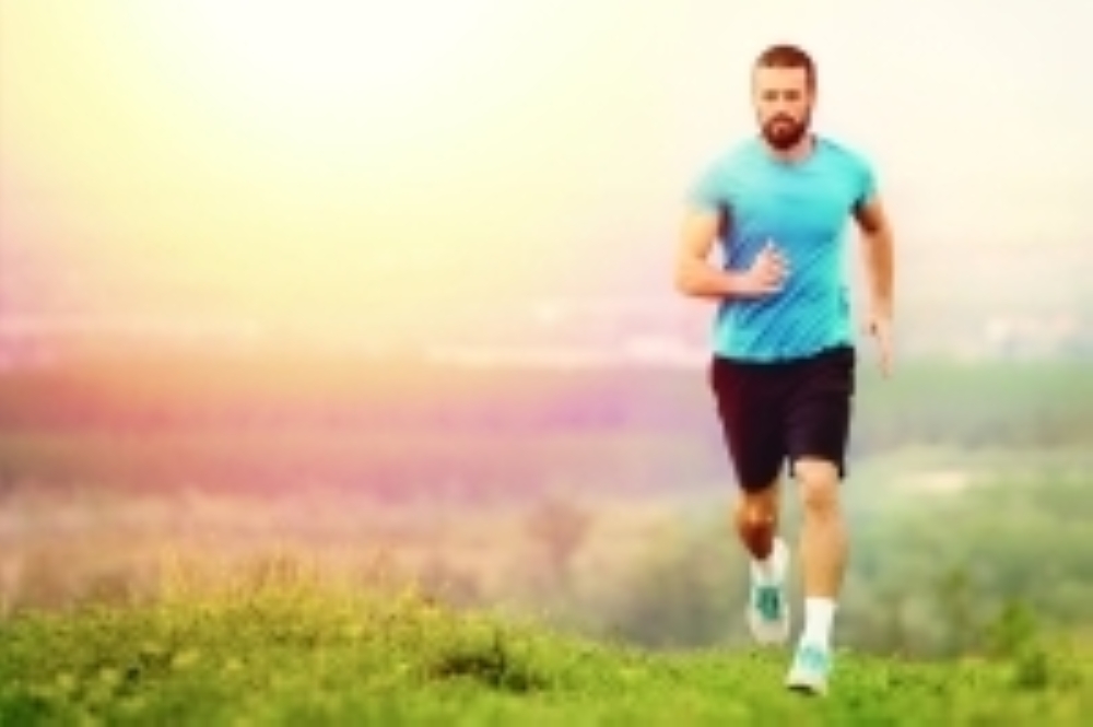 Burning fat during winter is on average 358% greater than in moderate weather