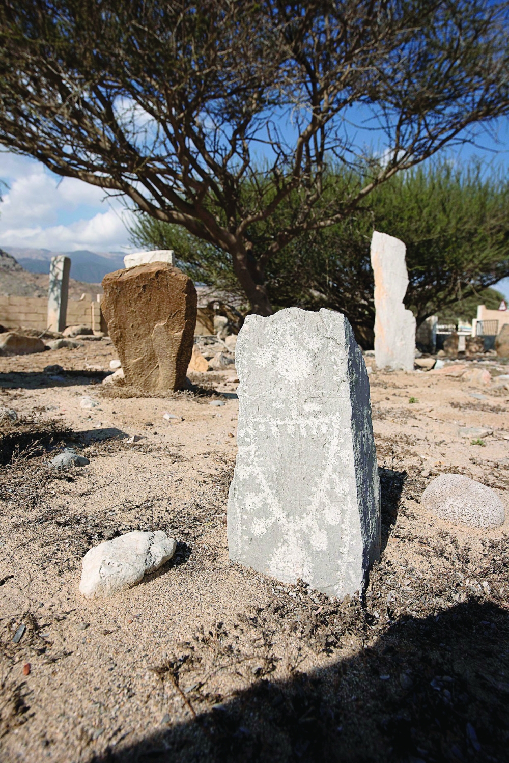 World can see rich Dibba's archaeology thanks to Al Shihi