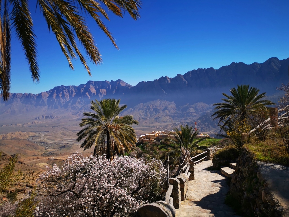 Apricot trees in full bloom at Wakan village