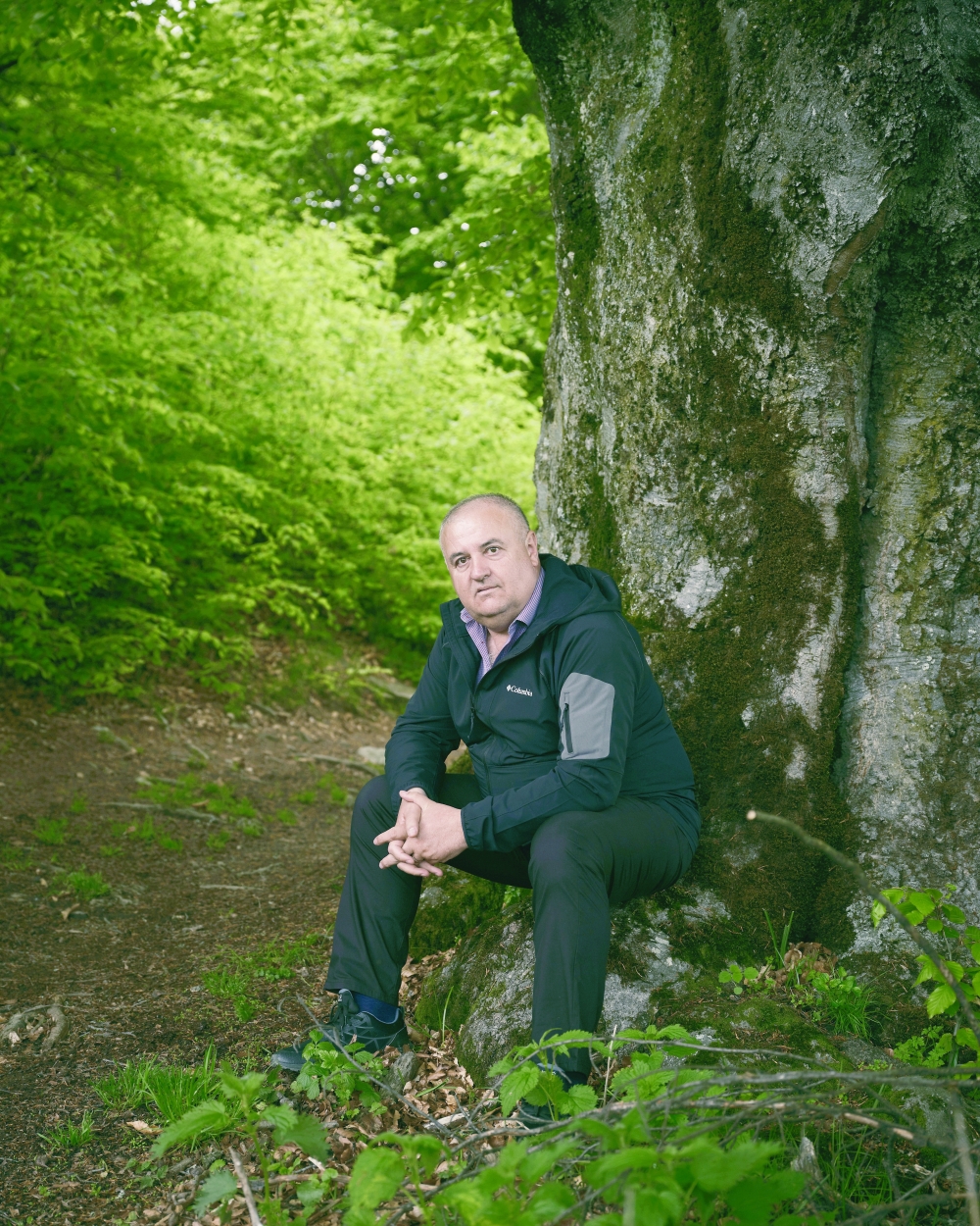 Ion Cojocaru, the mayor of Nucsoara, Romania, who has been working with a nonprofit group to protect the ancient beech trees, sits in the shade of one of his favorite trees.