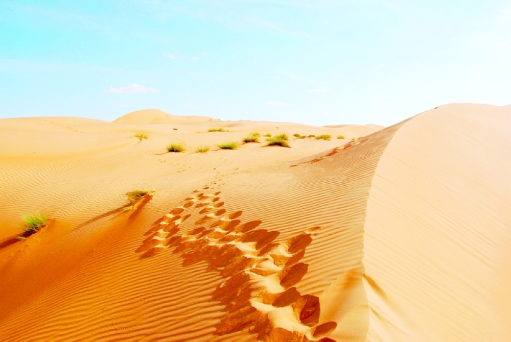 Winter in Oman also signals desert adventures and if there’s something that people in Oman have gotten good at