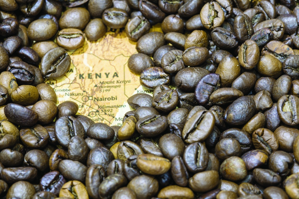 Kenya's Coffee Market Sees Rebound in Volumes, Prices