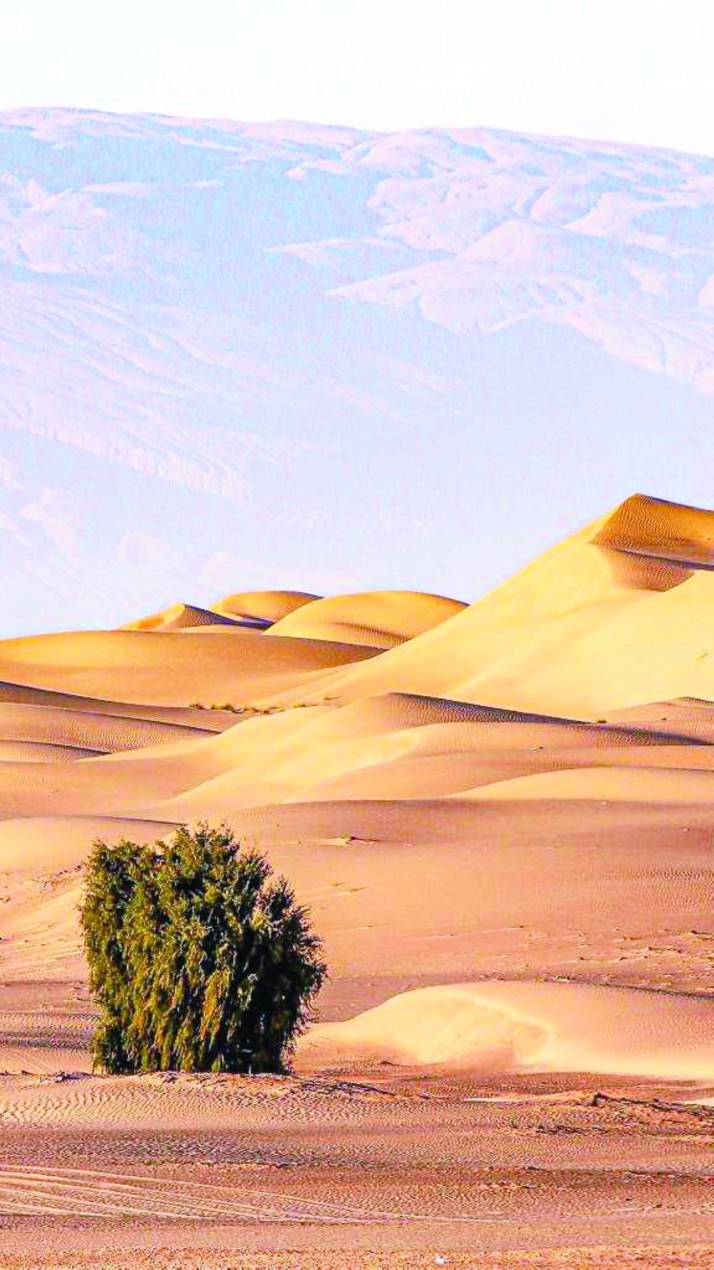 The season aims to create distinctive activities.