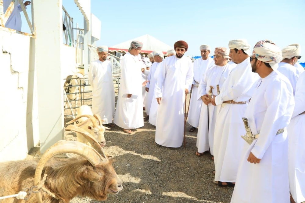 Animal wealth is a fundamental economic resource in the Sultanate of Oman, playing a crucial role in achieving self-sufficiency in animal products