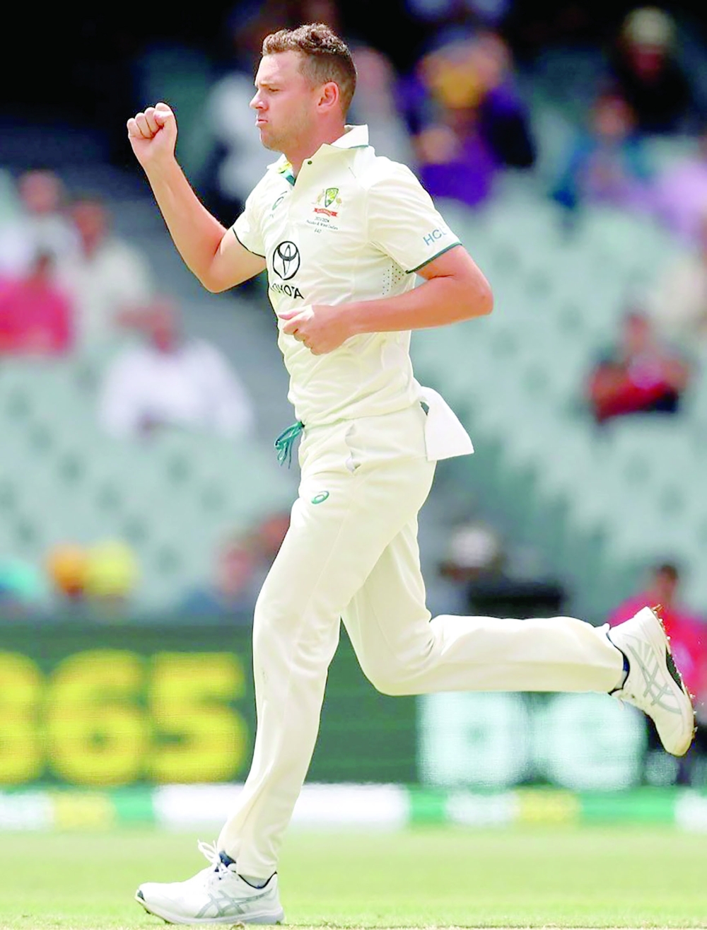 Josh Hazlewood