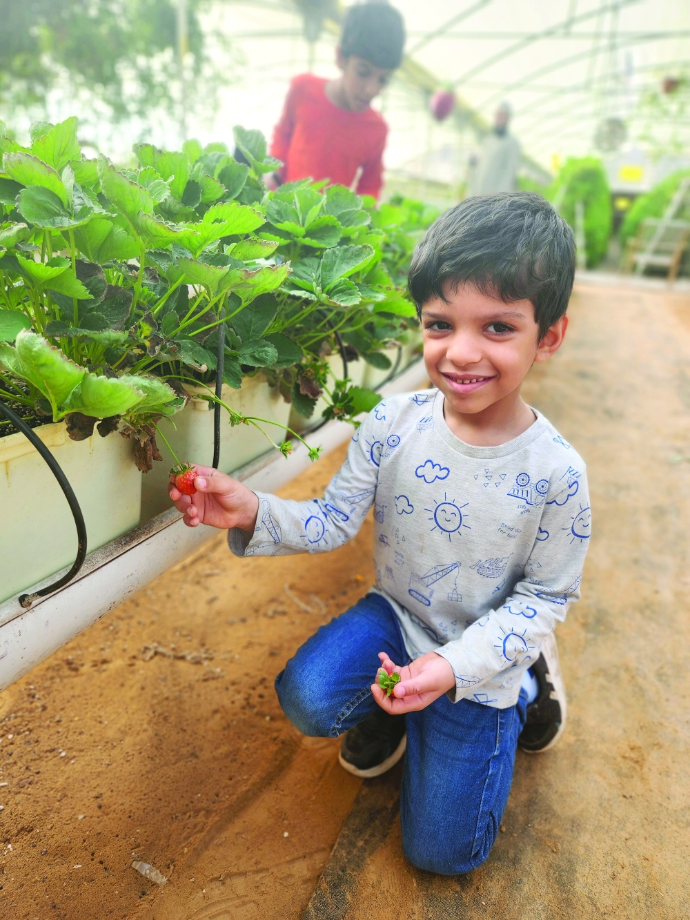 Strawberry Festival boosts agricultural tourism