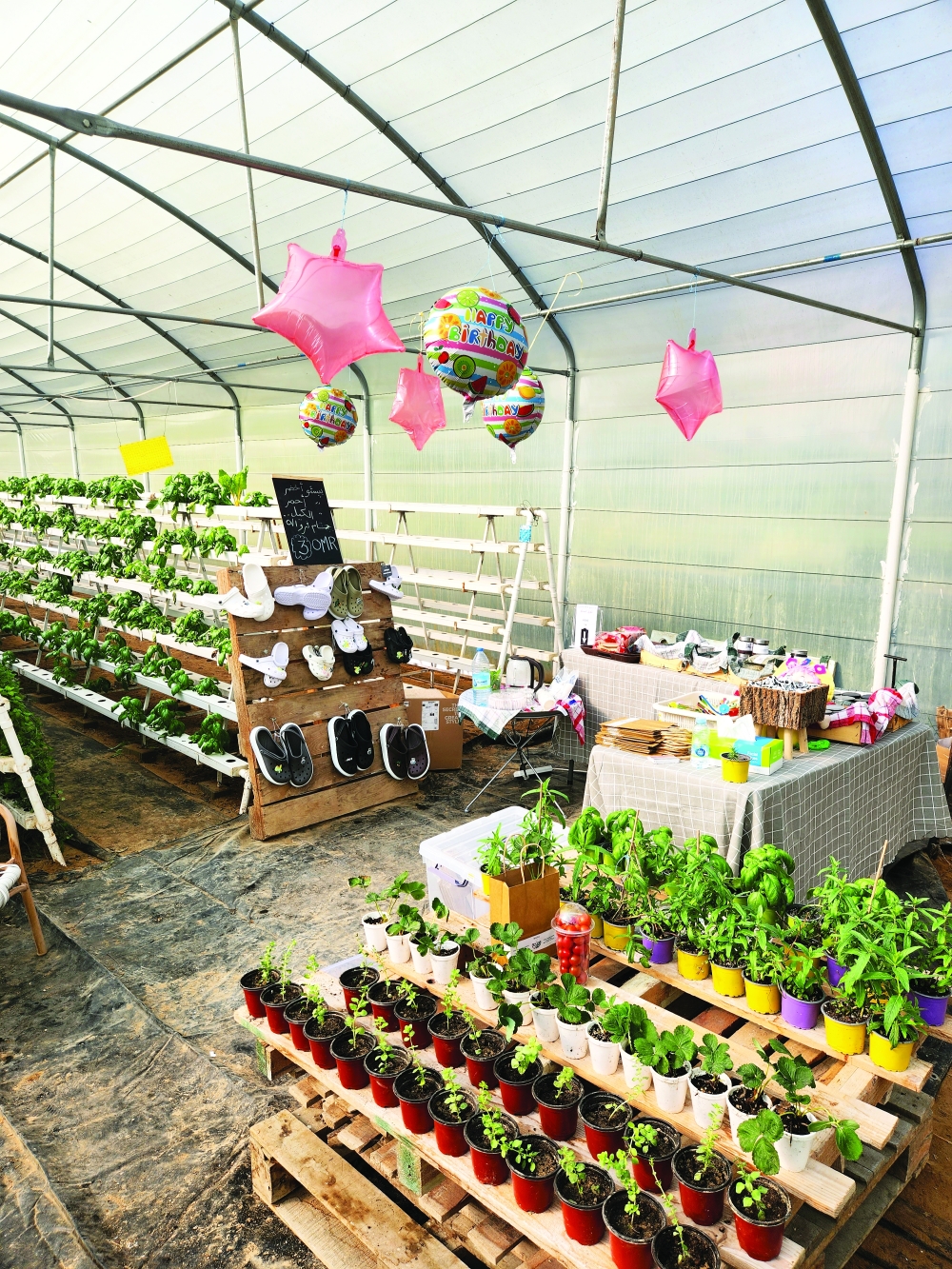 Strawberry Festival boosts agricultural tourism