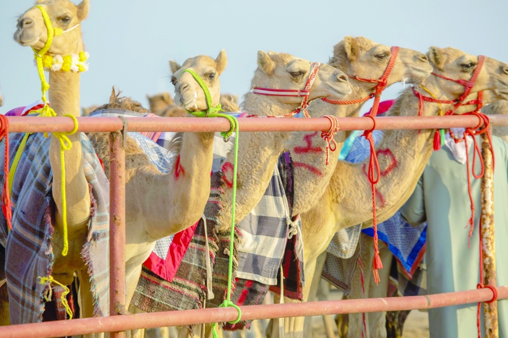 Winter forum in Masirah gets under way