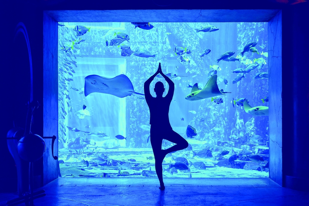 Family Fun in Tradition and Modernity