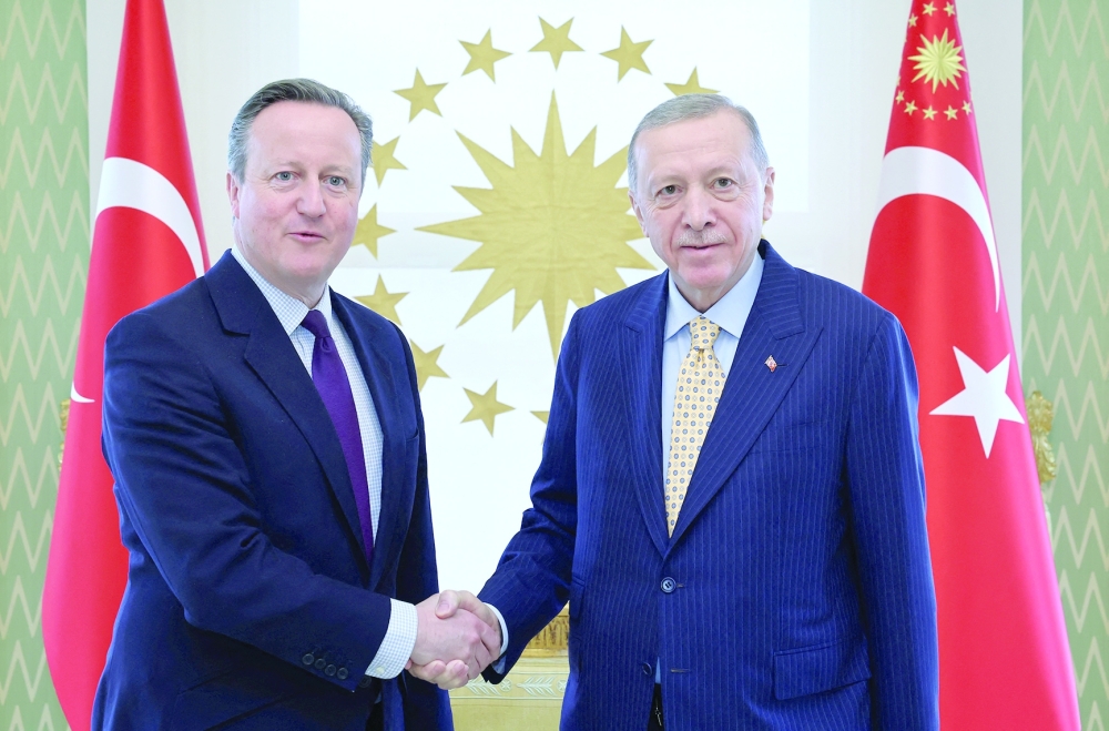Turkey's President Tayyip Erdogan meets with British Foreign Secretary David Cameron in Istanbul