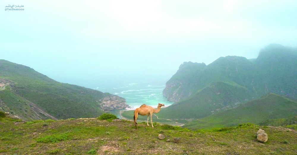 Wadi Afoul is Oman's serene gem