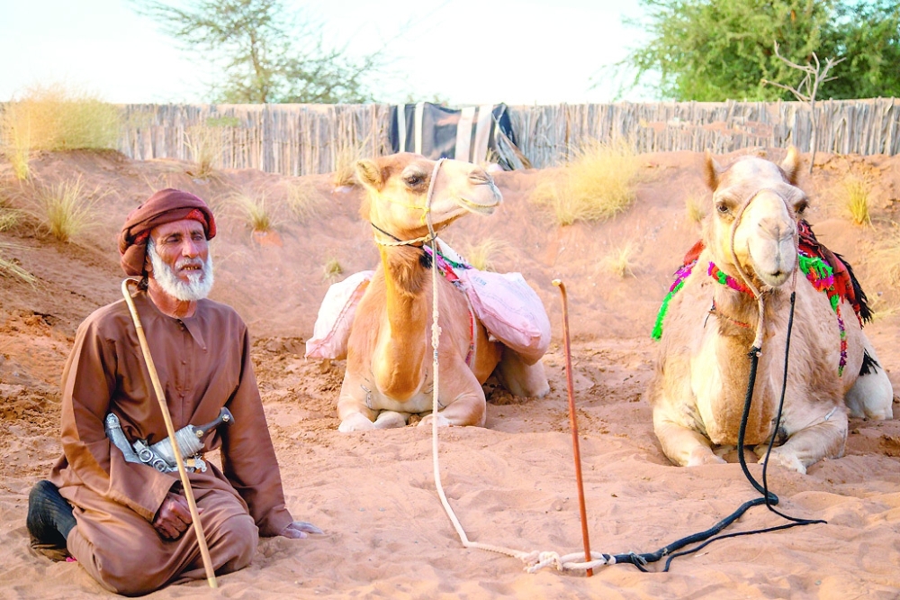 Over 65,000 flock to Al Sharqiyah North winter festival
