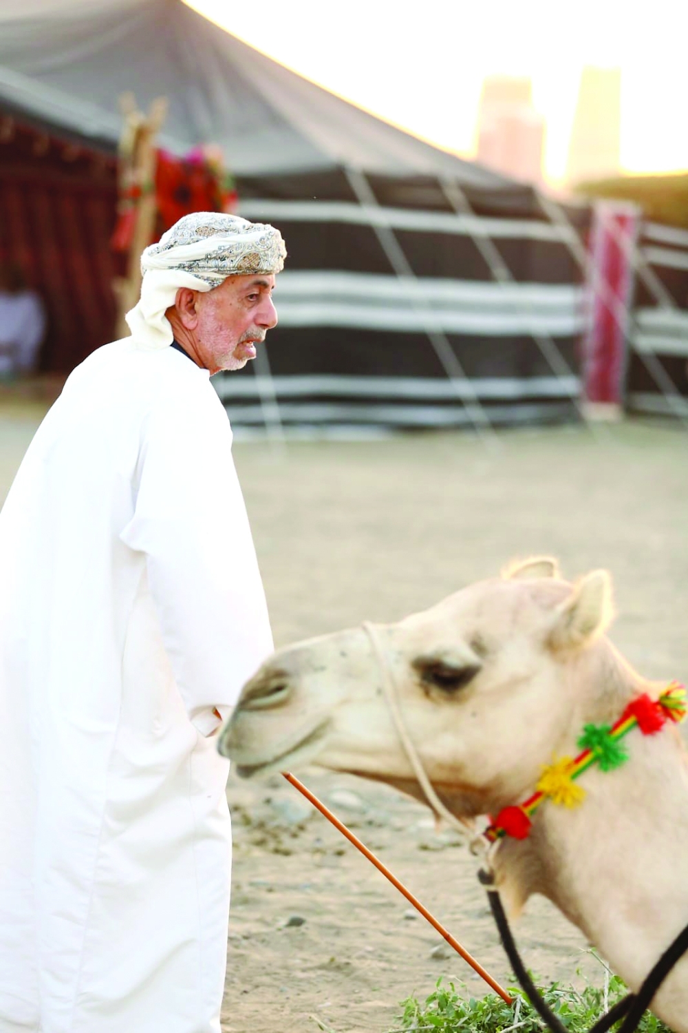 The Bedouin Village a journey to life in ancient times
