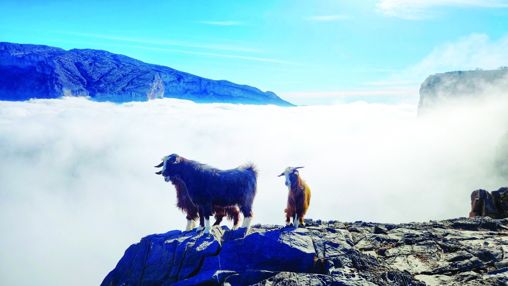 Waking up to a sea of clouds in Jabal Shams