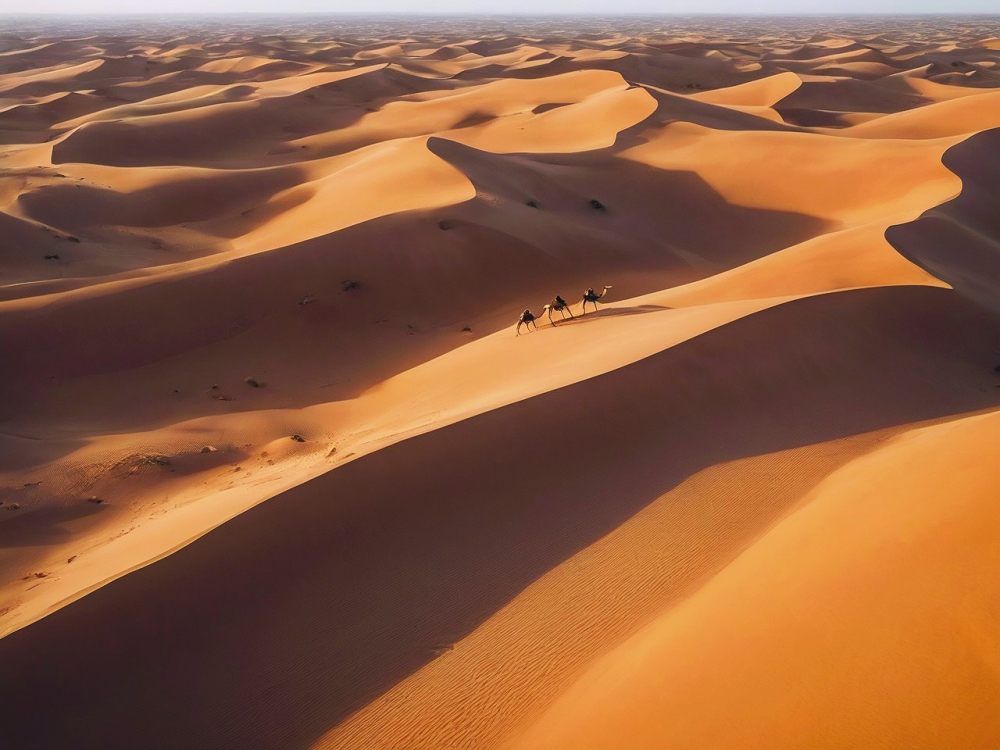 Celebrating desert traditions at Bidiya winter festival