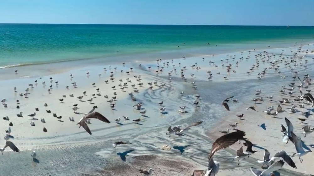 Al Jazir boasts many other tourist destinations like pink lakes, with their marvelous blend of salt water assuming pink colour. 