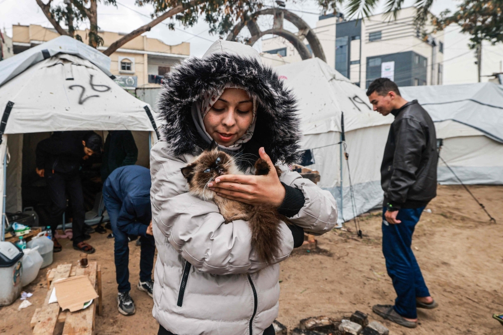 A Palestinian girl holds a cat near a makeshift camp in Rafah in the southern Gaza Strip as thousands of civilians have been displaced amid ongoing battles between Israel and Hamas.