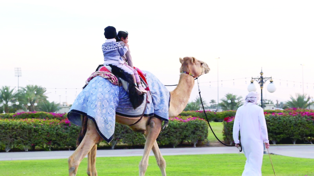 Buraimi winter fest attracts over 159,000 visitors