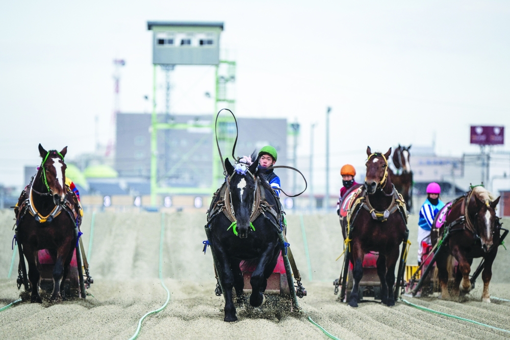 This picture taken on December 9, 2023 shows a Banei Keiba horse race at the Obihiro racecourse in Obihiro, Hokkaido Prefecture. Speed isn't everything at one racecourse in Japan, where the unpredictable stop-and-start drama of the world's slowest horse race has drawn new fans eager to bet on their sturdy favourite.