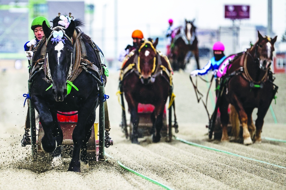 This picture taken on December 9, 2023 shows a Banei Keiba horse race at the Obihiro racecourse in Obihiro, Hokkaido Prefecture. Speed isn't everything at one racecourse in Japan, where the unpredictable stop-and-start drama of the world's slowest horse race has drawn new fans eager to bet on their sturdy favourite.