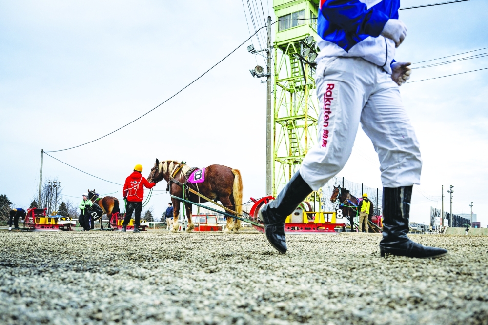 This picture taken on December 9, 2023 shows jockeys walking off the track after a Banei Keiba horse race at the Obihiro racecourse in Obihiro, Hokkaido Prefecture. Speed isn't everything at one racecourse in Japan, where the unpredictable stop-and-start drama of the world's slowest horse race has drawn new fans eager to bet on their sturdy favourite.