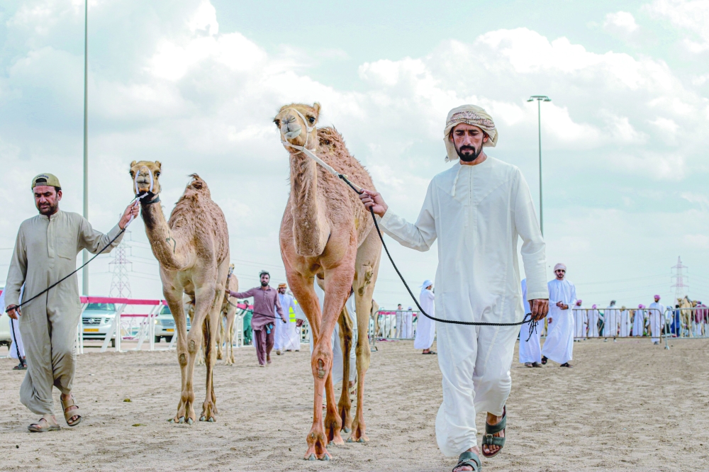 “Aoun”, “Kaifan” claim Al Bashayer festival opening