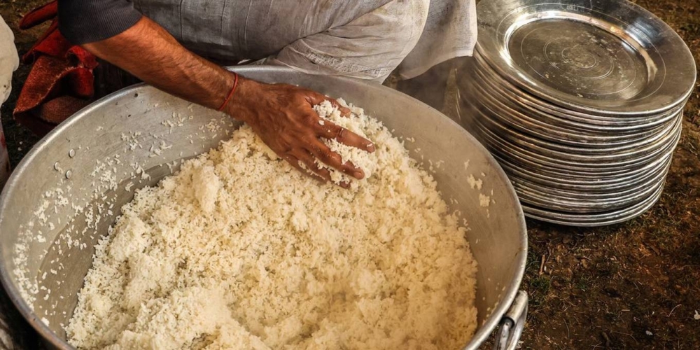 There are roughly 1,500 rice and wheat varieties developed and introduced in India from the 1960s to 2018.