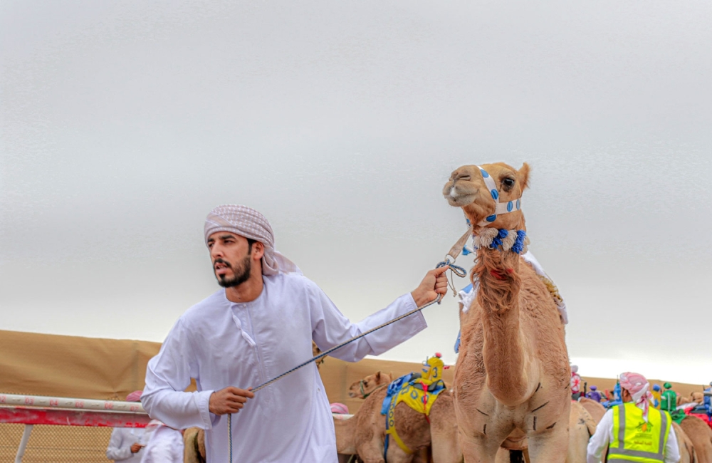 ‘Omseyah’, ‘Bahja’ grab Al Bashayer cups in second day