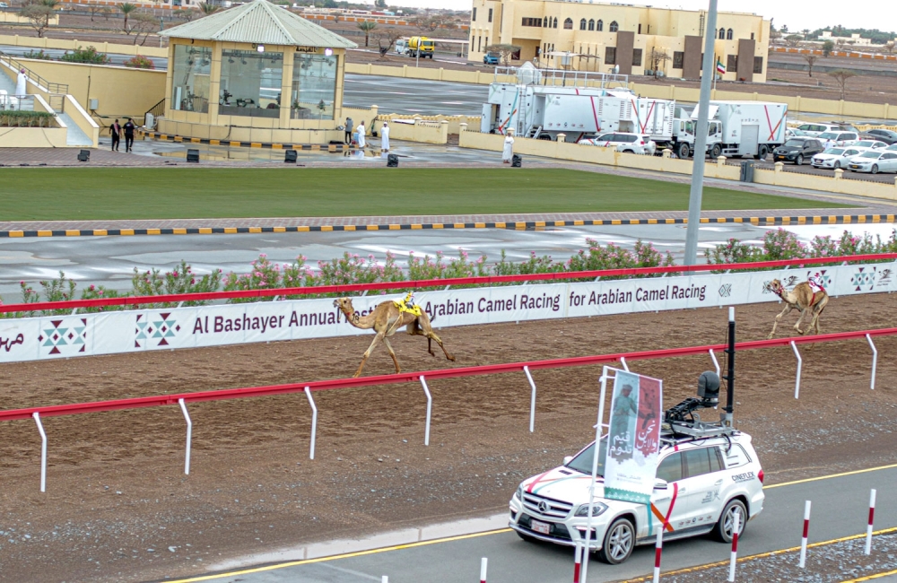 ‘Omseyah’, ‘Bahja’ grab Al Bashayer cups in second day