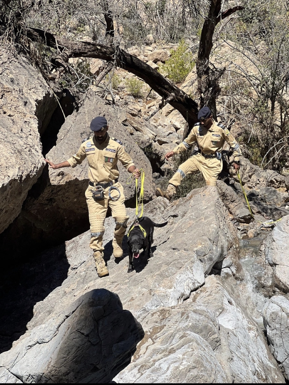 n total CDAA has had to deal with 441 individuals from Sunday night to present.