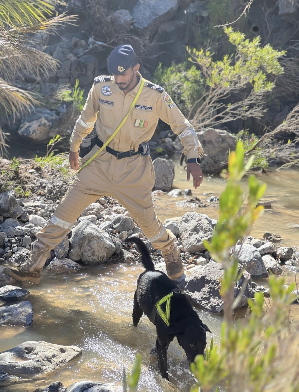 n total CDAA has had to deal with 441 individuals from Sunday night to present.