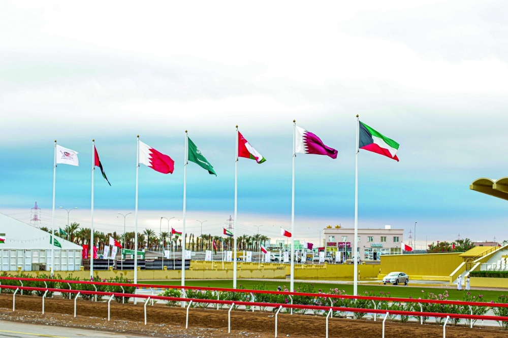 ‘Fanad’, ‘Al Shahamah’ grab Al Bashayer Cups, ‘Hamlool’ wins rifle