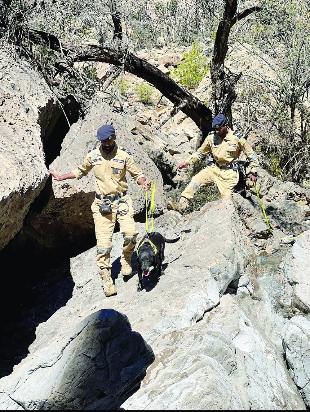 Till Wednesday, CDAA had been dealing with 273 emergency cases