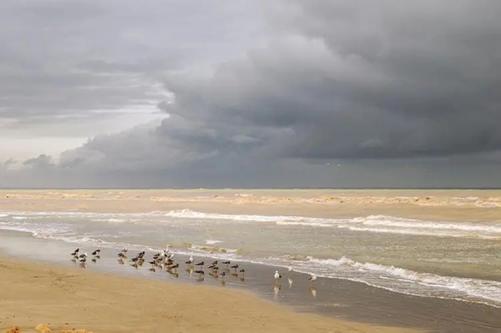 Oman Met urged seagoers to check the sea condition before going practicing marine activities.