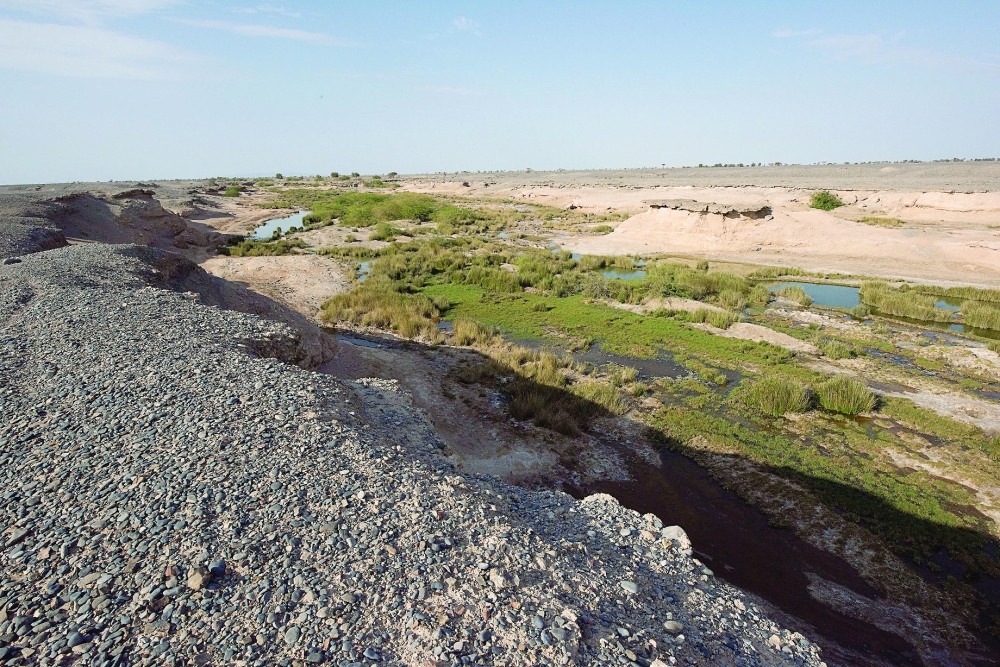 The Sulfur spring is is located in a topographical depression extending in the middle of the desert plain