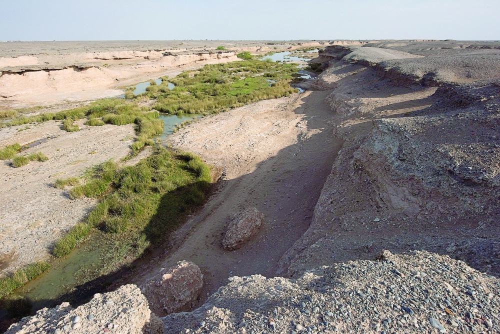 The Sulfur spring is is located in a topographical depression extending in the middle of the desert plain