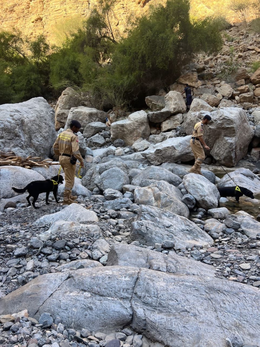 The tourist's vehicle drifted while trying to cross a valley during the weather period on February 13. 