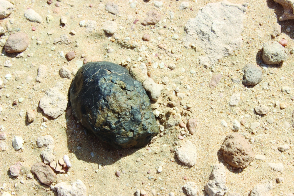 Oman making rapid strides in combating smuggling of meteorites: Minister