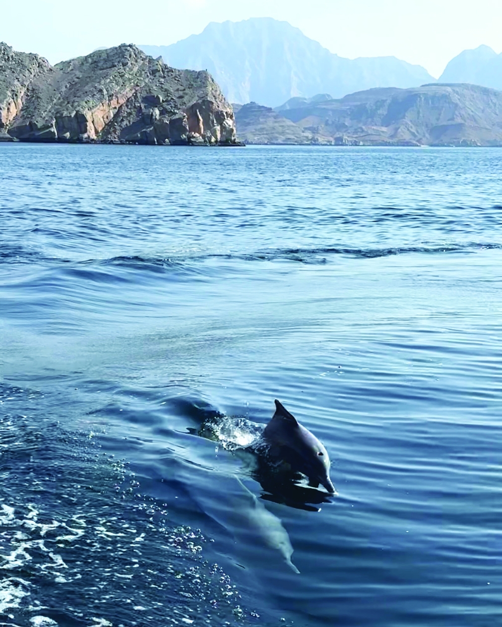 Visit Musandam for its blend of culture and adventure