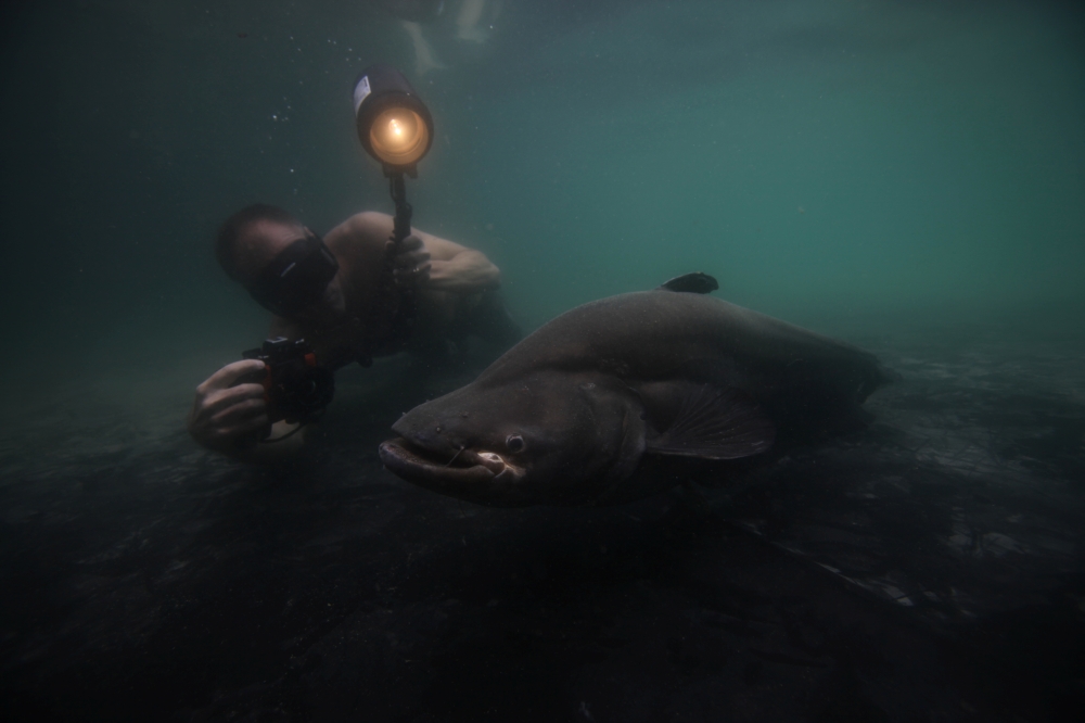 /FW1HFS/Sherry Jacob