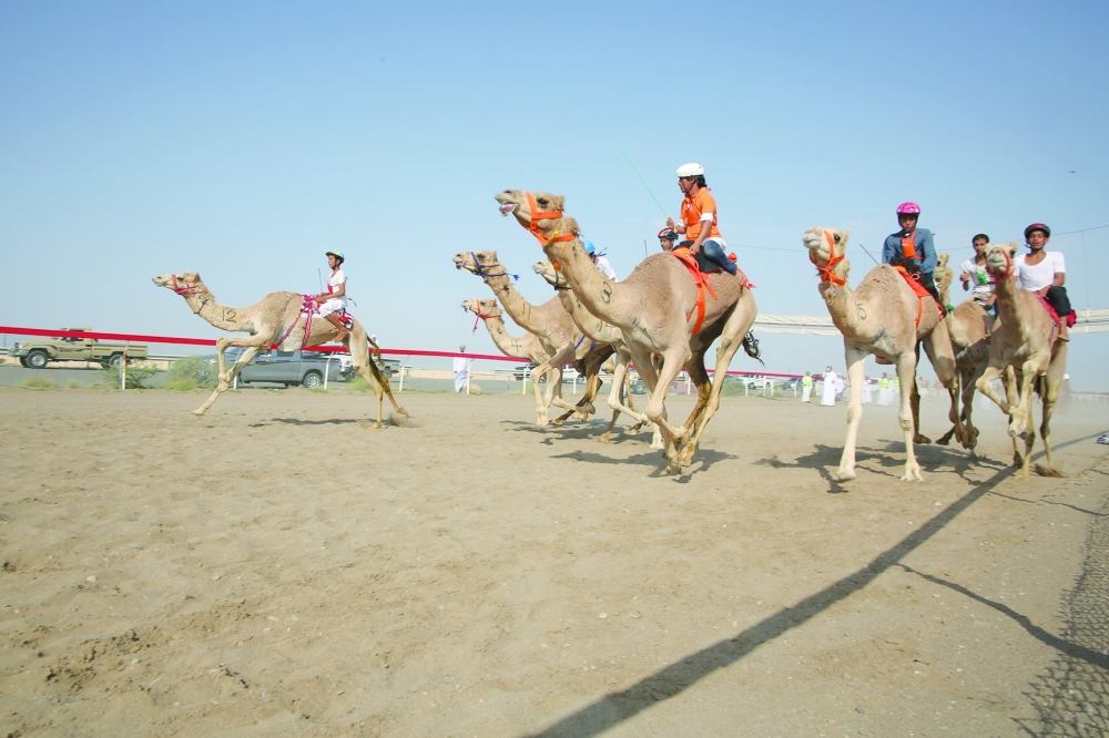 HM Sultan Cup competitions continue in Barka