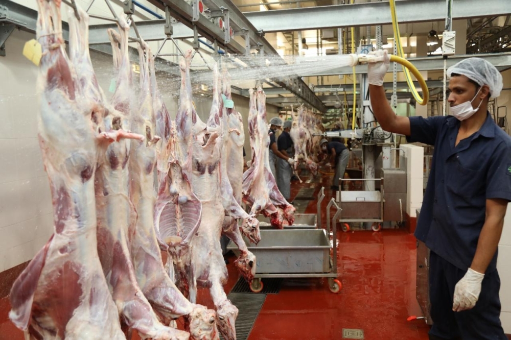 WhatsApp Image 2024-03-10 at 11.19.24