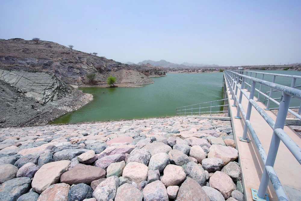 Dams preserve water for agriculture, foster biodiversity